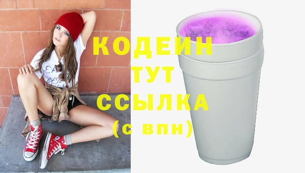 прущий лед Богданович