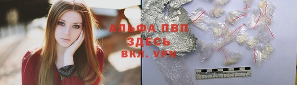 прущий лед Богданович