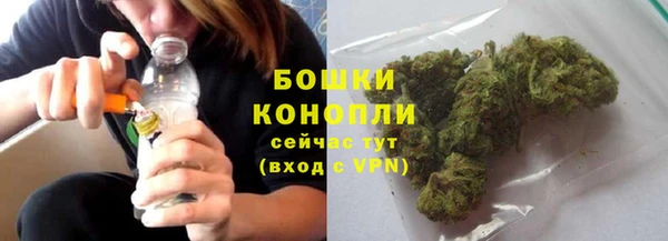 соль ск Богородск