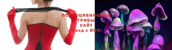 соль курить ск Богородицк