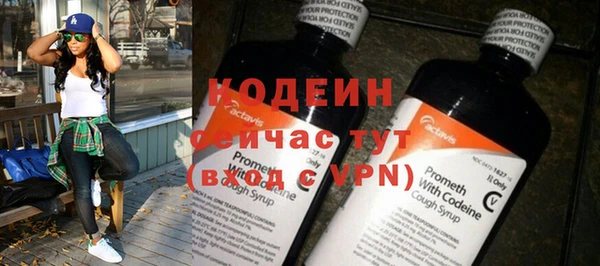 прущий лед Богданович