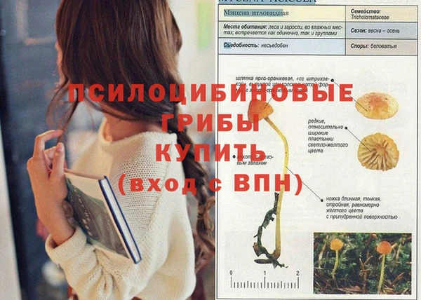 соль курить ск Богородицк