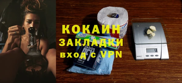 прущий лед Богданович