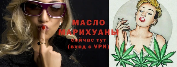 прущий лед Богданович