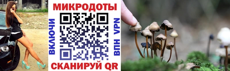 купить закладку  Карталы  Галлюциногенные грибы MAGIC MUSHROOMS 